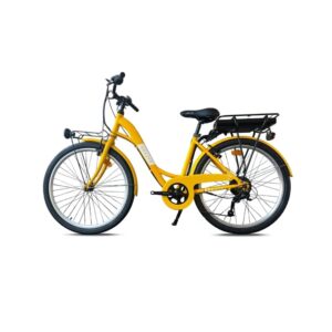 Vélo Électrique Femme Grosses Roues