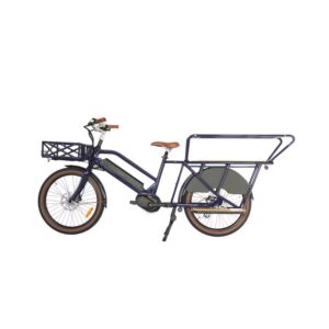 Vélo Électrique Jusqu'à 2 Passagers