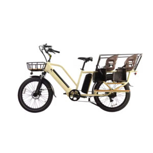 Vélo Électrique avec 2 Places pour Enfants