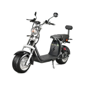 Vélo Électrique Grosses Roues 2 Places