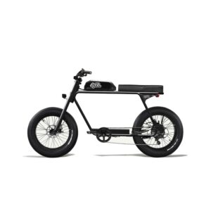 Vélo Électrique Biplace pour Adulte