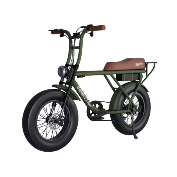 Vélo Électrique Biplace Puissant