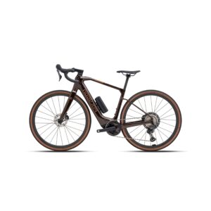 Vélo Électrique Moteur Bosch 400W