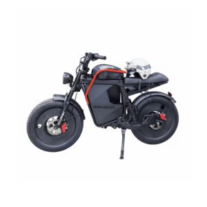 VAE Design Moto