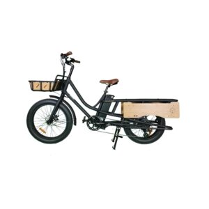 Vélo Électrique Compatible Sièges Arrière