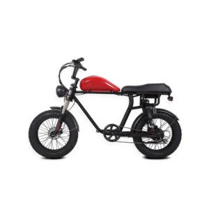 Vélo Électrique avec Double Place
