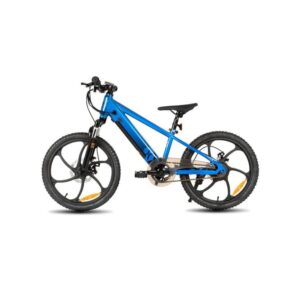 Vélo Électrique Enfant Couleur Bleu