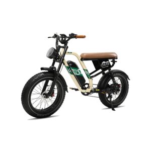 Vélo Électrique avec Design de Moto