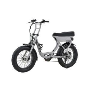 Vélo Électrique Fat Bike 2 Places