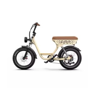 Vélo Électrique pour Femme Biplace