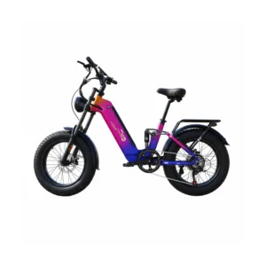Fat Bike Électrique pour Femme