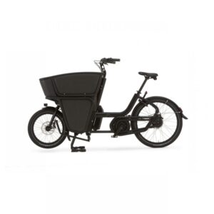Vélo Électrique Femme avec Porte Enfant