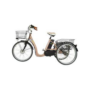 Vélo Électrique pour Femme avec Remorque