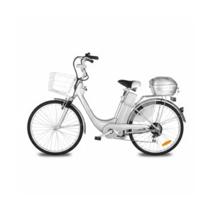 Vélo Électrique Silver