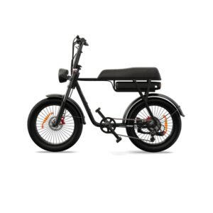 Vélo Électrique Transport