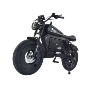 Vélo Moto Électrique avec Grosses Roues